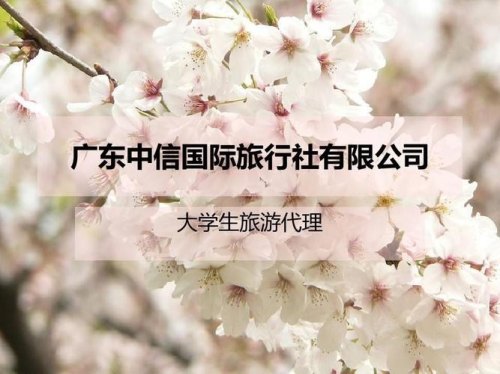 广东哪个旅行社旅游最实惠？