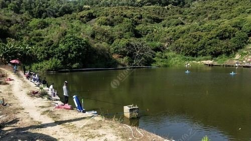 寻深圳龙岗龙园附近免费钓鱼？