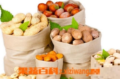 坐车旅行时，吃什么零食比较好？