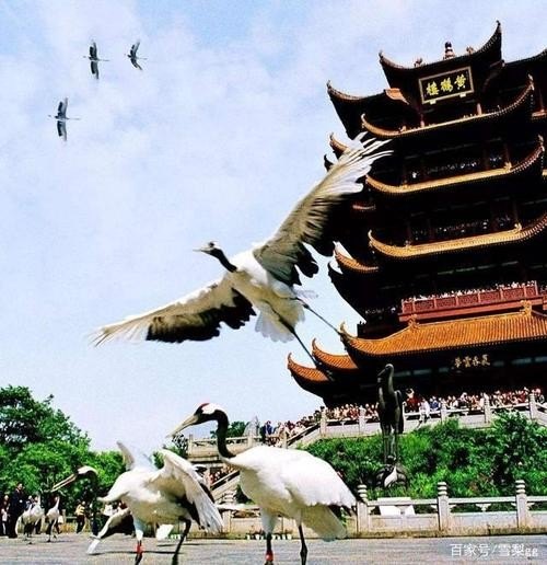 中国各省最具代表性的东西是什么？