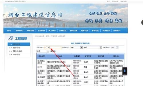 网上哪里可以找到工程项目信息？