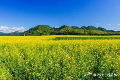 心情不好,去哪里住两个月散心最合适? 心情不好,去哪里住两个月散心最合适?