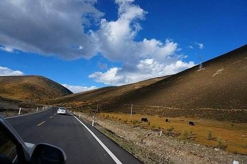 现在可以出去自驾游了吗? 现在可以出去自驾游了吗?