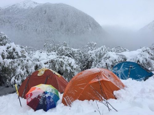 登雪山需要什么帐篷？