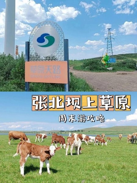 去张北旅游多少钱？