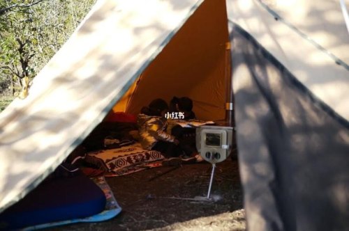 北京十一露营冷不冷？