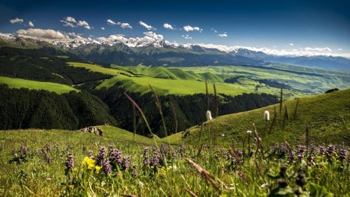 谁去过伊犁河谷?是不是比欧洲的景色更漂亮? 谁去过伊犁河谷?是不是比欧洲的景色更漂亮?