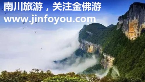 南川金佛山的门票是多少？