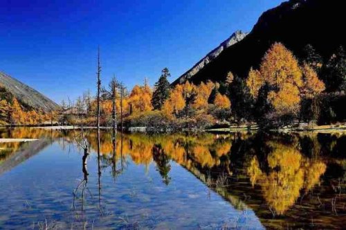过年想去四川阿坝自驾游，银川出发，有啥好建议？