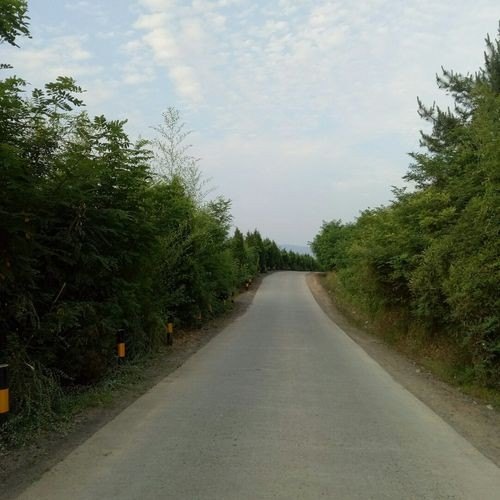 201和305省道好走吗？