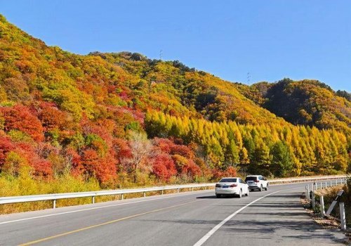 十一自驾只看路边美景哪里好? 十一自驾只看路边美景哪里好?