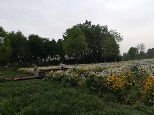 郫都区附近有什么好玩的地方？