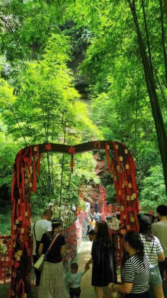 邛崃川西竹海门票？