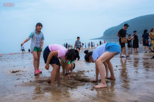浙江赶海自驾游最佳地点? 浙江赶海自驾游最佳地点?