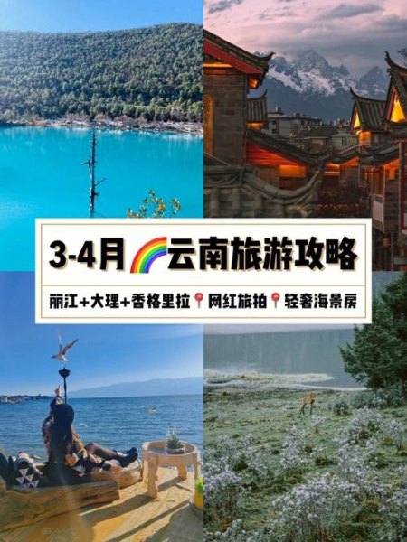 1月中旬去云南旅游怎么样，冷吗，什么时候最适合去？