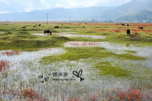 纳帕海绕一圈要多久？
