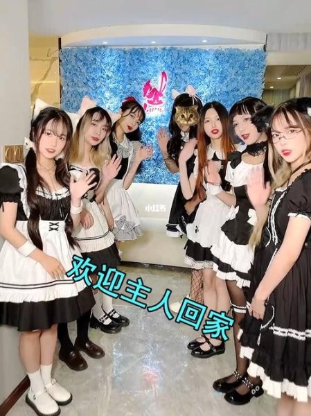 桌游女仆店是做什么的？