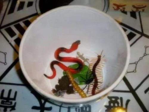 蛊这种东西真的存在吗？