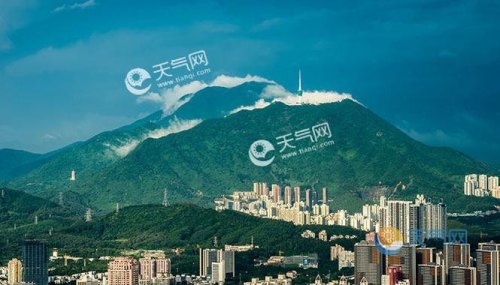 2021年12月深圳都有哪些地方免费游玩？