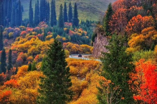 十月份适合去新疆哪里旅游? 十月份适合去新疆哪里旅游?