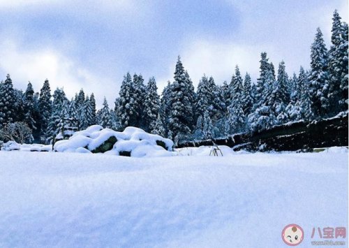 想去北方看雪的文案？