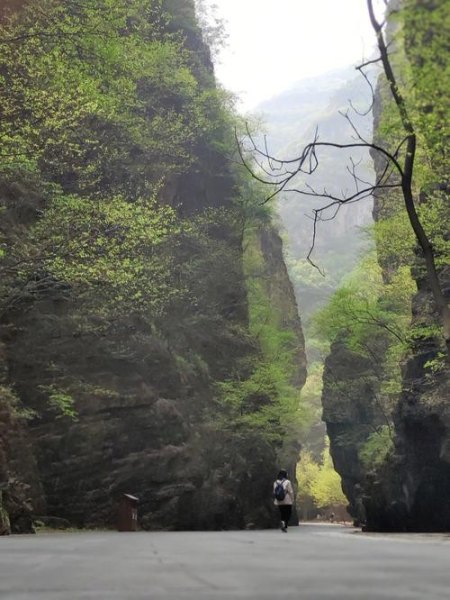 保定人少的景点? 保定人少的景点?