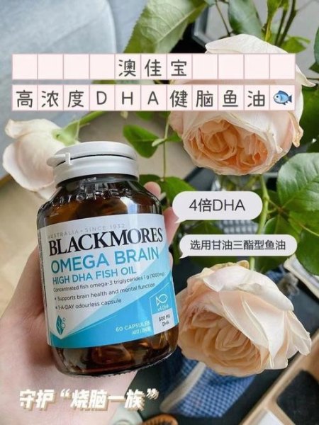 初高中生补脑营养品？