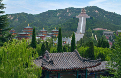 山东境内一日游去哪里好？