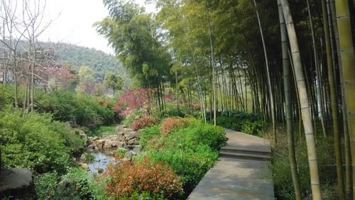 宜兴春天适合去哪玩？