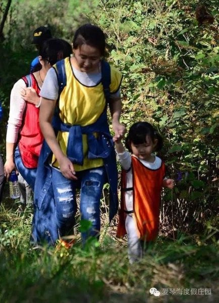 十一月份适合去哪里亲子游呢? 十一月份适合去哪里亲子游呢?
