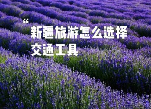 如果你要去新疆旅游,你会选择什么交通工具? 如果你要去新疆旅游,你会选择什么交通工具?