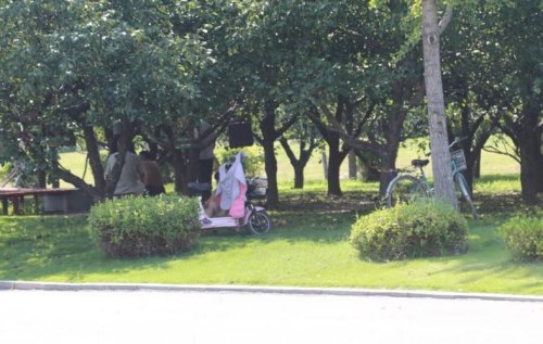 在公园里，你曾经做过什么疯狂的事情？