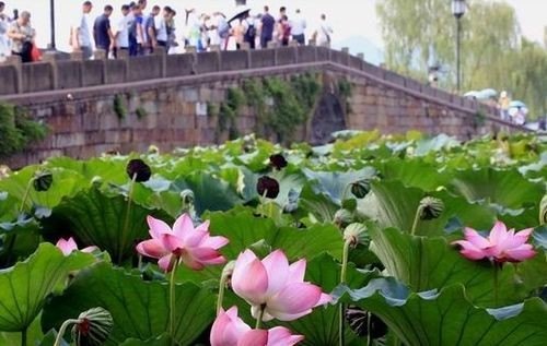 2023国庆去杭州合适吗? 2023国庆去杭州合适吗?