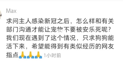 有没有谁得过新冠的,能否在评论区讲讲自己的经历? 有没有谁得过新冠的,能否在评论区讲讲自己的经历?