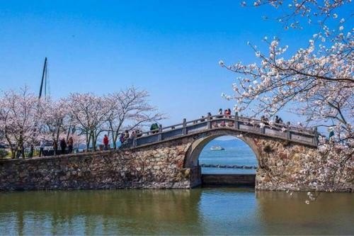 江苏人气最旺十大景点？