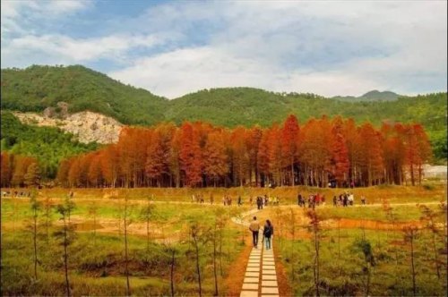 义乌秋天必去十大景区? 义乌秋天必去十大景区?