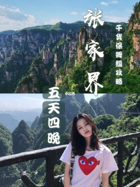 去张家界开车好还是报团好? 去张家界开车好还是报团好?