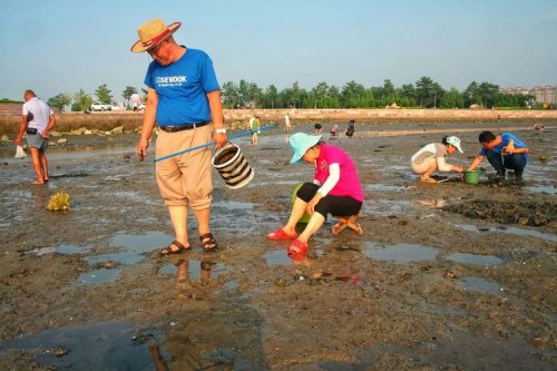 养马岛海水浴场能赶海吗？
