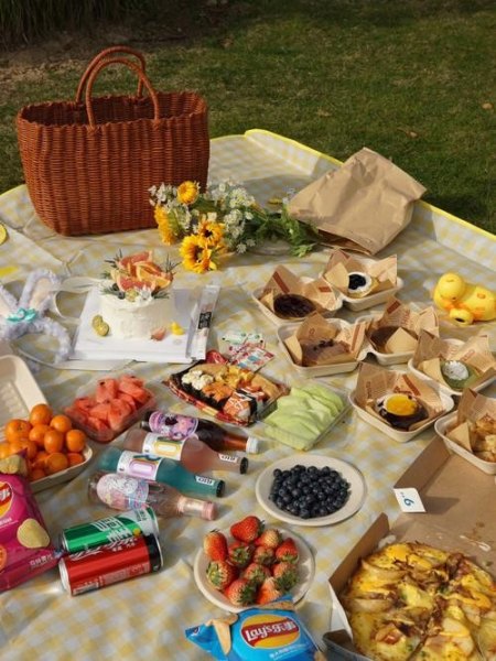 学校小朋友郊游野餐必备物品清单？