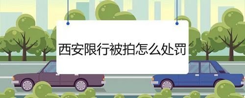 怎么知道自己限号被拍了