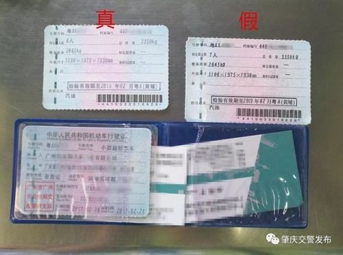 行驶证过期三个月内可以开车吗