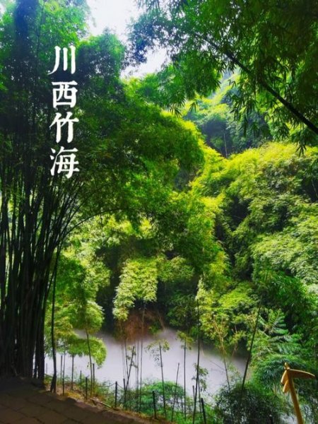 平乐古镇川西竹海天气