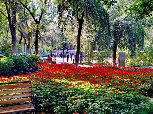 乌鲁木齐公园有哪些