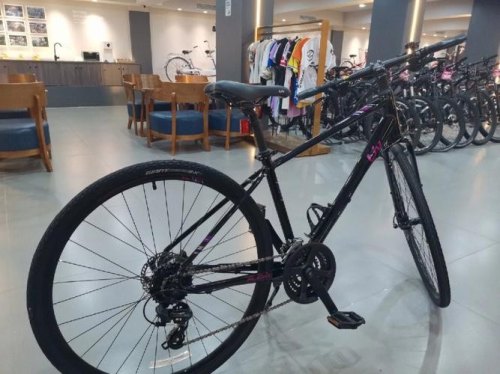 alight1捷安特有多少种颜色？