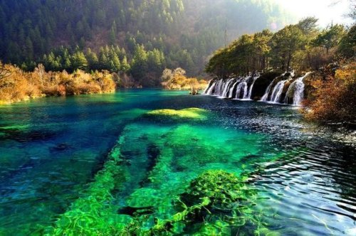 国内5日游最好的地方