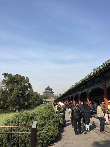 天坛景区外地车能开到吗 天坛景区外地车能开到吗