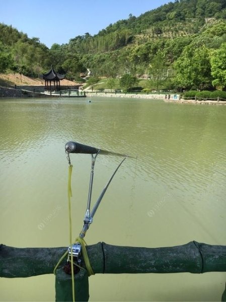 慈溪野钓最佳地方？