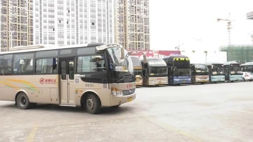 县际班车和公交车的区别 县际班车和公交车的区别