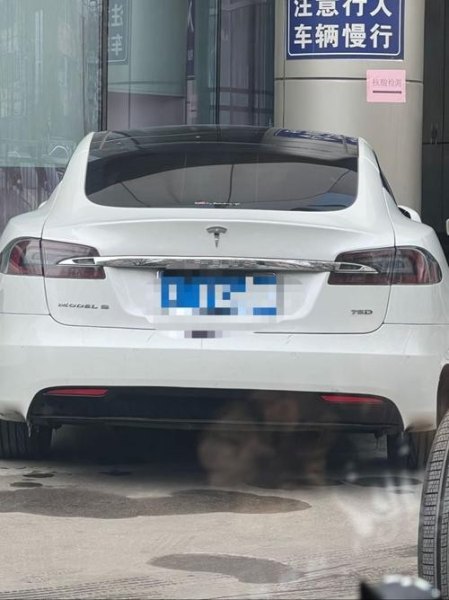 特斯拉上蓝牌是什么意思？