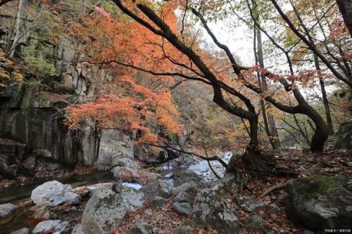 冬季辽宁周边自驾游